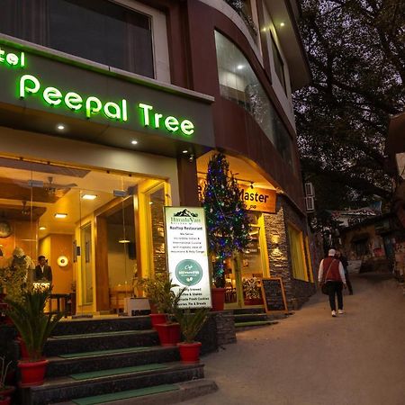 Hotel Peepal Tree Rishikesh Bagian luar foto
